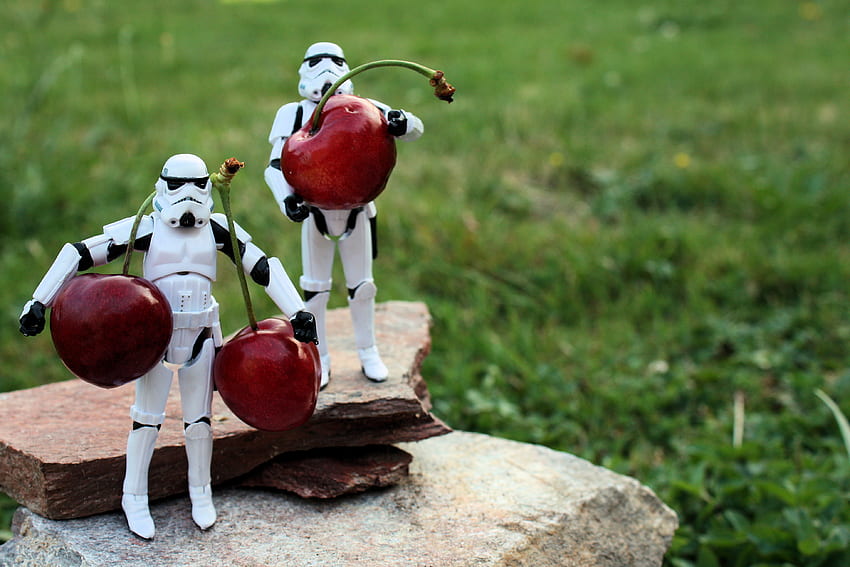 Imperial Supplies, lawn, action, abstract, graphy, cherries, soldiers, star wars, figures HD wallpaper