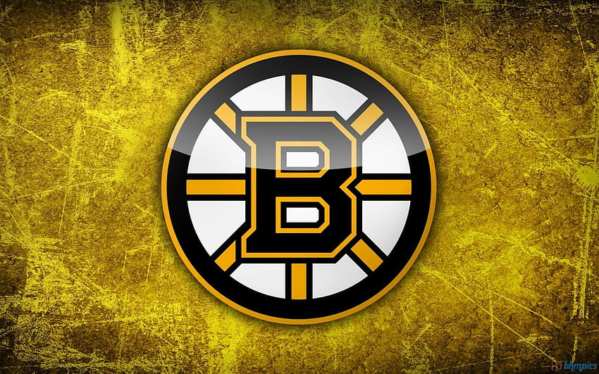 Bruins, Boston Bruins HD wallpaper
