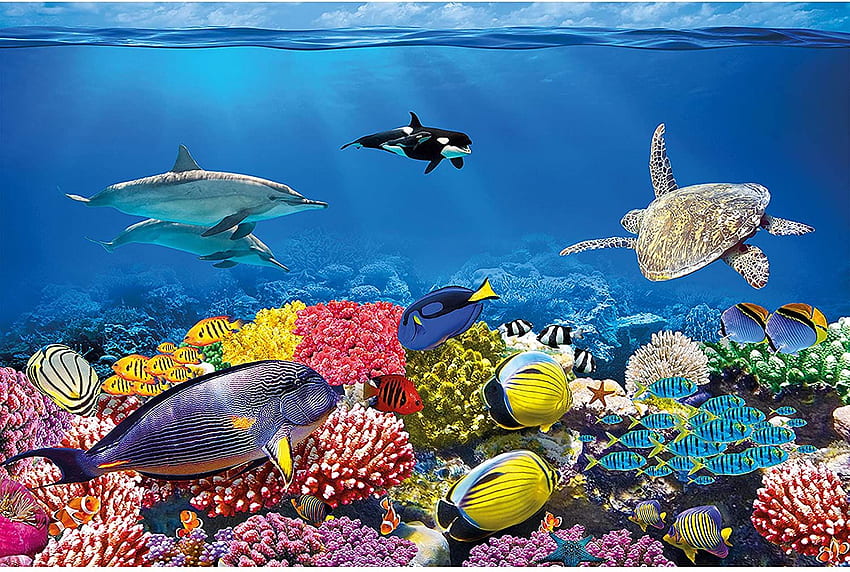 SENI HEBAT Kamar Anak-Anak – Akuarium – Dekorasi Dunia Bawah Laut Penghuni Laut Ikan Laut Kura-kura Terumbu Karang Dekorasi Dinding Mural (82..1in - cm): Poster & Cetakan Wallpaper HD