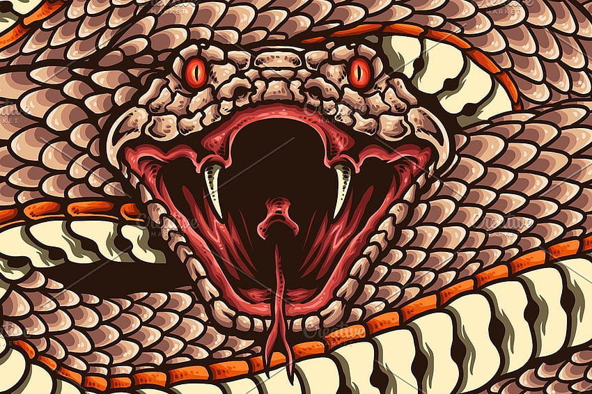 Wild and Dangerous. Japanese snake tattoo, Open mouth drawing, Snake drawing HD wallpaper