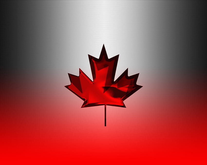 Feuille d'érable canadienne, feuille, érable, canadain Fond d'écran HD