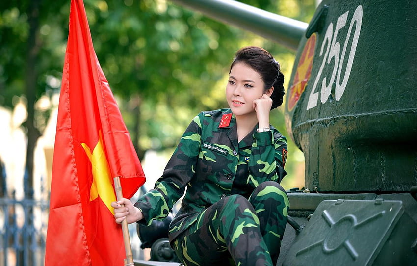 Vietnam Flag, South Vietnam HD wallpaper