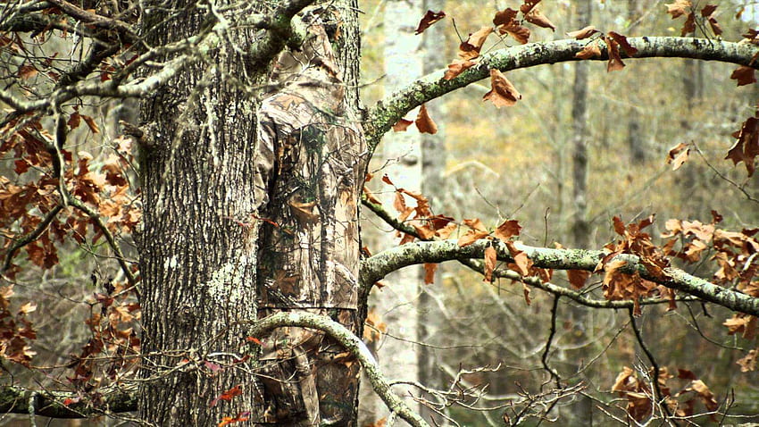 Realtree Camo Hochwertige er für die PC-Jagd HD-Hintergrundbild