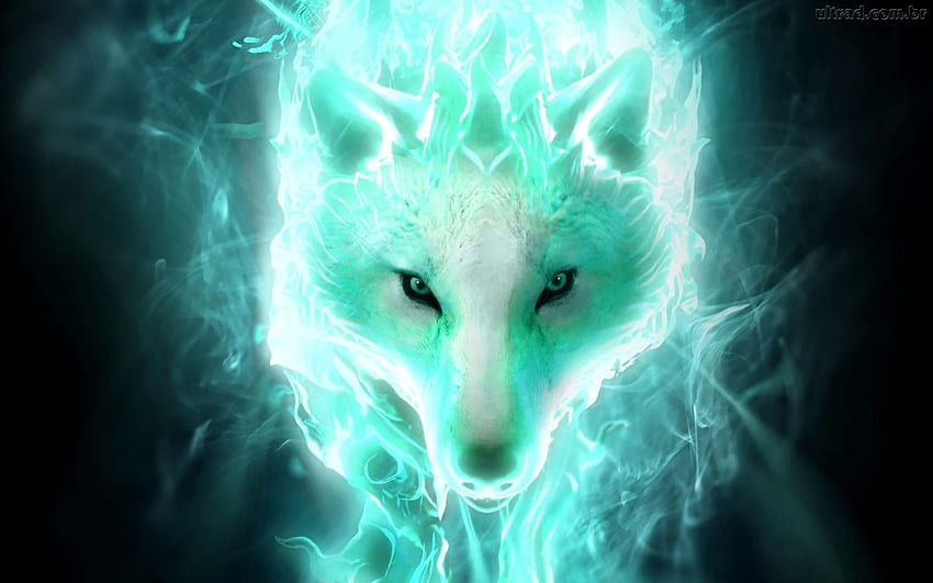 Lobo de la galaxia mística de la llama azul -, Lobo azul neón fondo de pantalla
