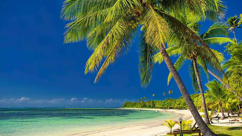 Paradise coast, sea, palms, coast, tropical, exotic, beautiful, relax ...
