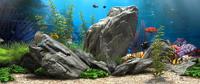 3D Fish Aquarium - 21:9 [Live ] - (), Freshwater Aquarium HD wallpaper |  Pxfuel