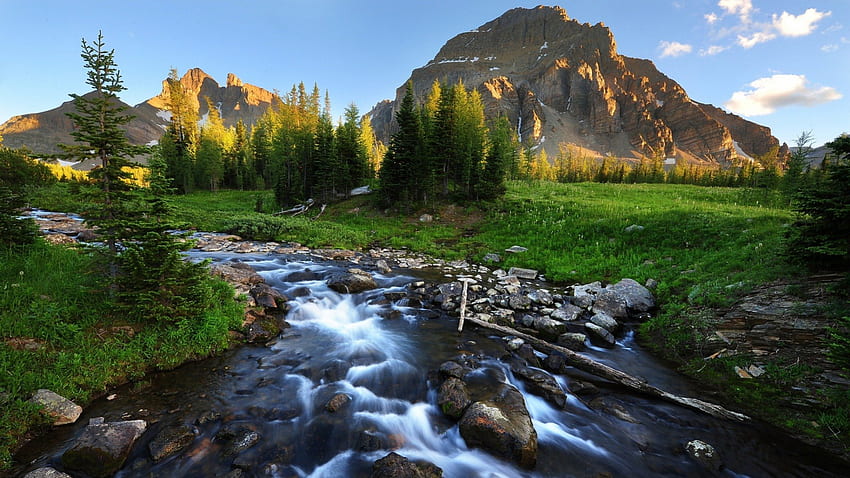 wonderful mountain stream, trees, meadow, mountains, rocks, stream HD wallpaper