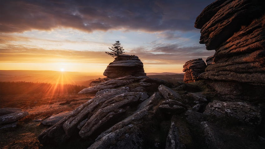 Dartmoor Sunrise, UK, rocks, tree, England, clouds, landscape, sky HD wallpaper