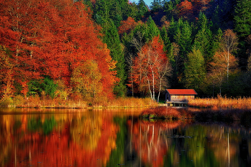 Autumn scene, fall, trees, tranquil, serenity, cabin, lake, colorful, beautiful, scenery, reflection, forest HD wallpaper