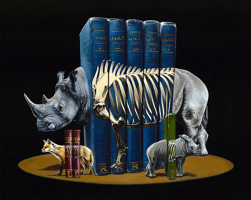 :), rhinocéros, livre, art, vulpe, jacb gagnon, surréaliste, renard, bleu, peinture, pictura Fond d'écran HD
