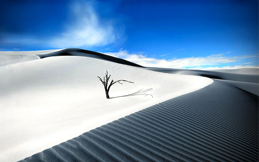 Desert, Sahara HD wallpaper | Pxfuel
