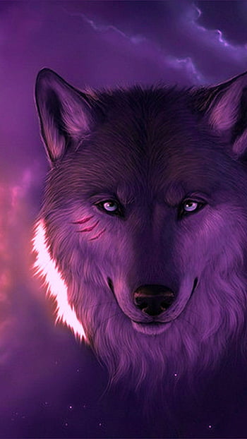 Purple wolf HD wallpapers  Pxfuel