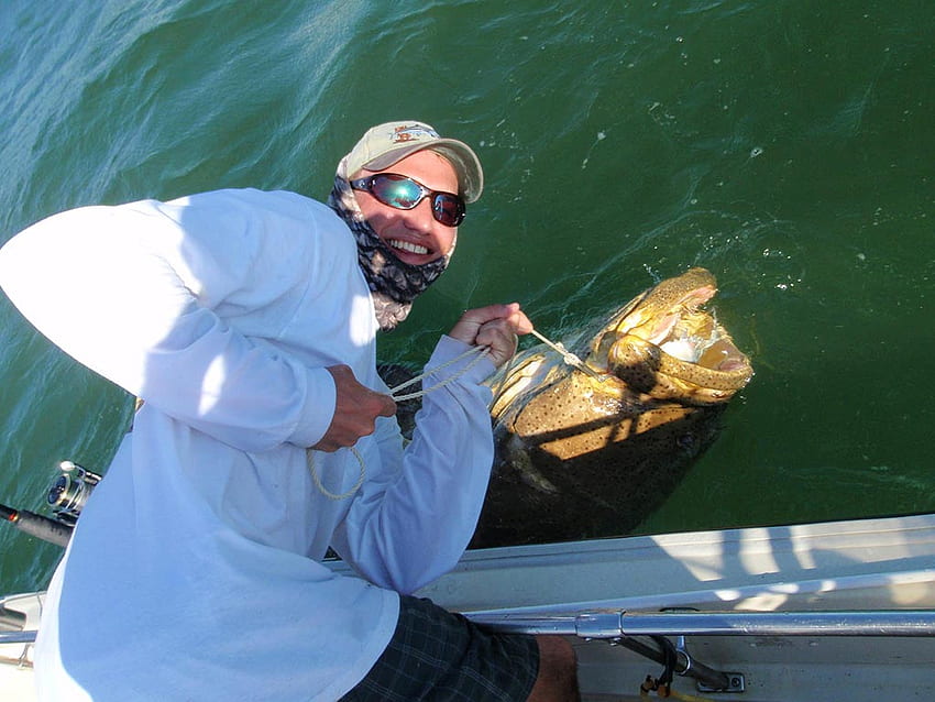 Goliath Grouper Fishing - How to Catch Goliath Grouper HD wallpaper