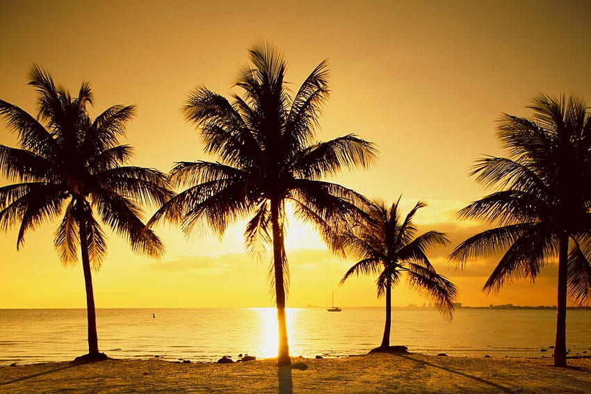 Beach Sunset, sand, yellow, boats, palm trees HD wallpaper