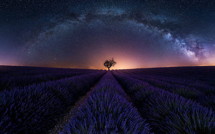 bintang, alam, lavender, matahari terbenam, lanskap, lapangan, Prancis. Mocah Wallpaper HD