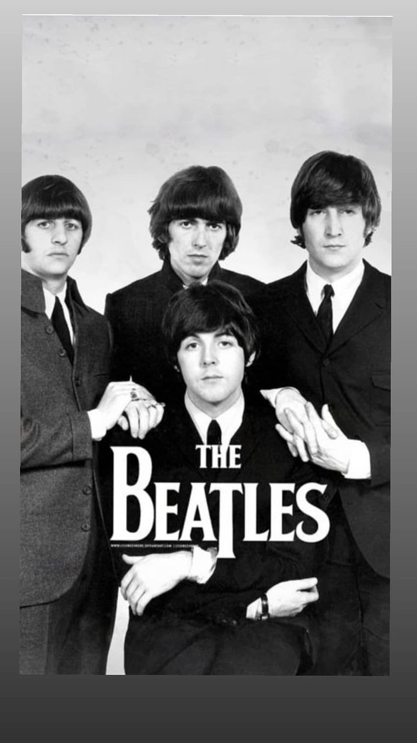 Natty Machuca sui Beatles. Beatles, i Beatles, poster dei Beatles Sfondo del telefono HD