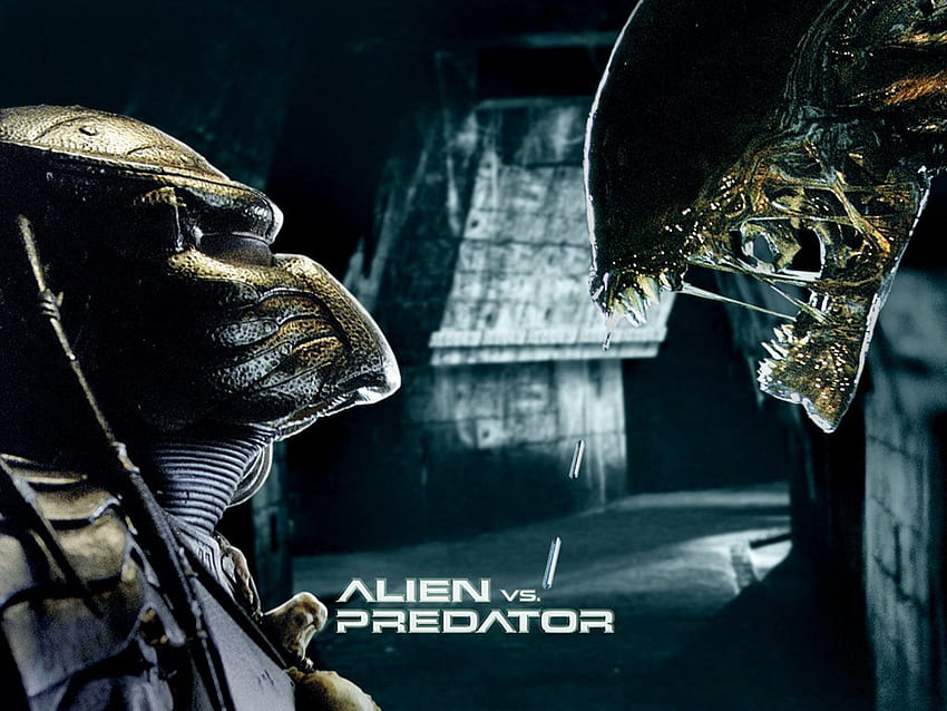 Alien vs Predator, kosmos, horror, film, obcy Tapeta HD