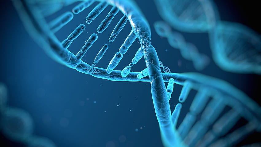 DNA Double Helix . DNA dan gen, Urutan DNA, Genetika Wallpaper HD