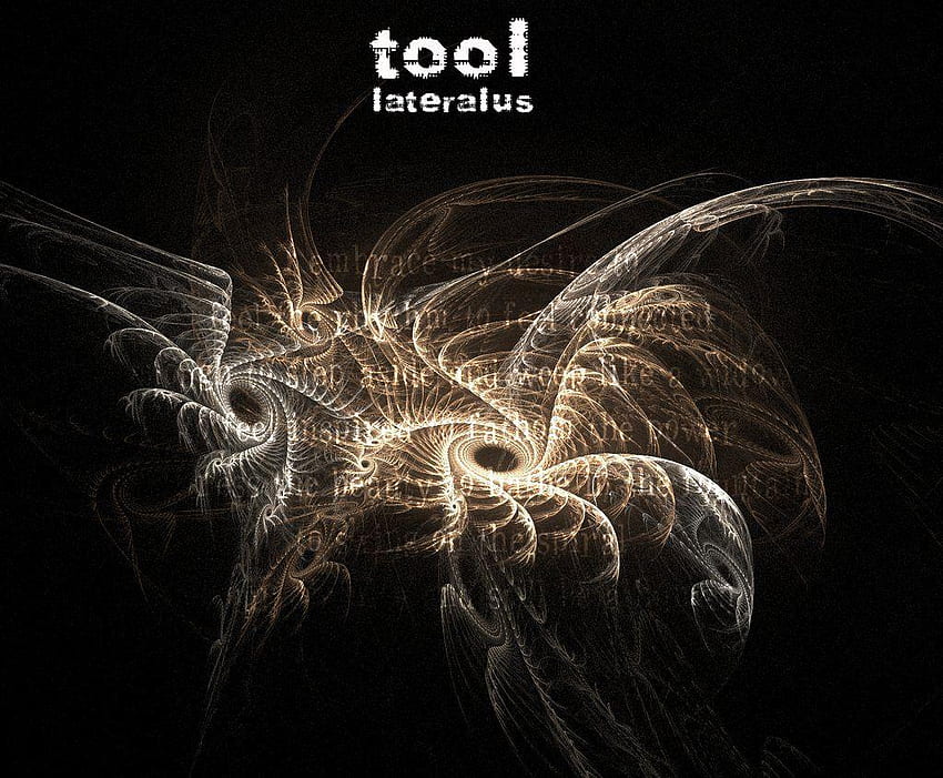 Tool Band , Band Art HD wallpaper