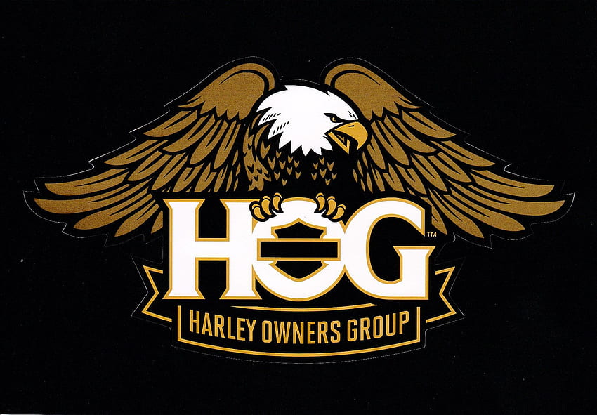 Nowe logo Grupy Właścicieli Harleya. Harley Davidson i motocykle, Hog Biker Art Tapeta HD