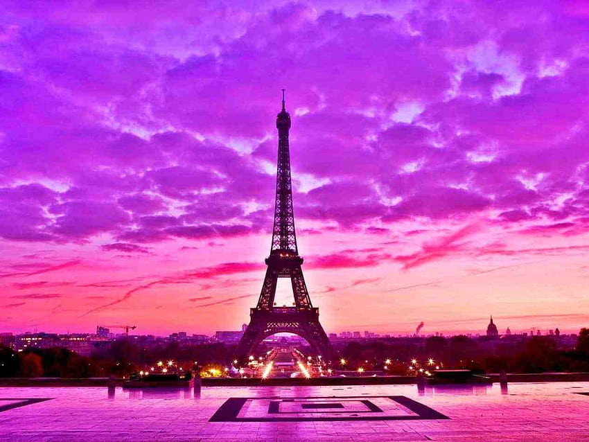 핑크 파리 & 배경, 핑크 파리 프랑스 HD 월페이퍼