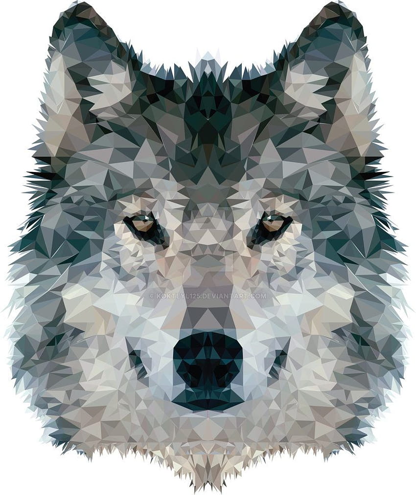 Wolf Polygon. Geometric animals, Animal art, Geometric art HD phone  wallpaper | Pxfuel
