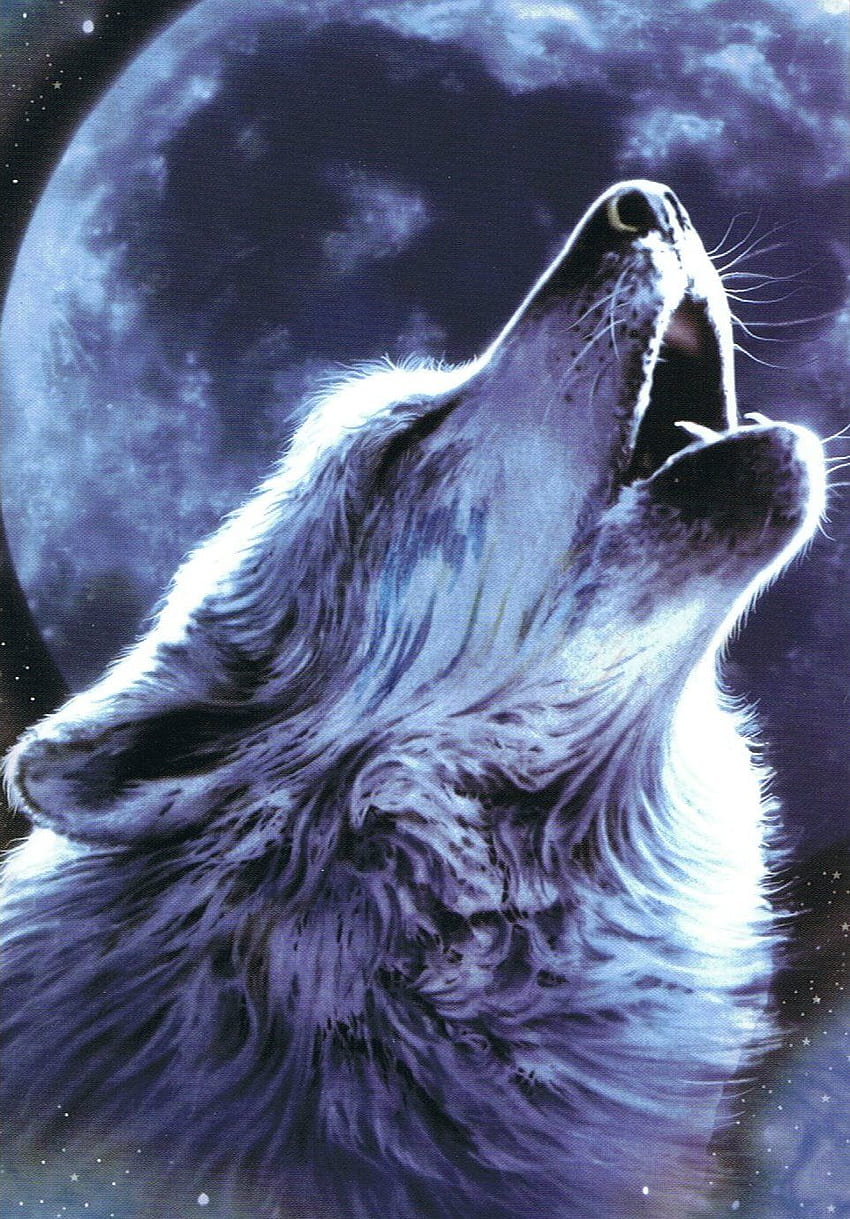 loup réaliste hurlant à la lune Fond d'écran de téléphone HD