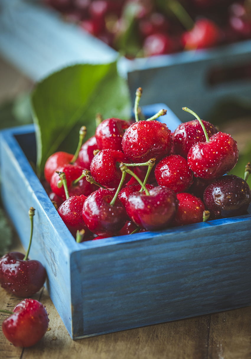 Sweet Cherry, Food, Cherry, Drops, Berries HD phone wallpaper