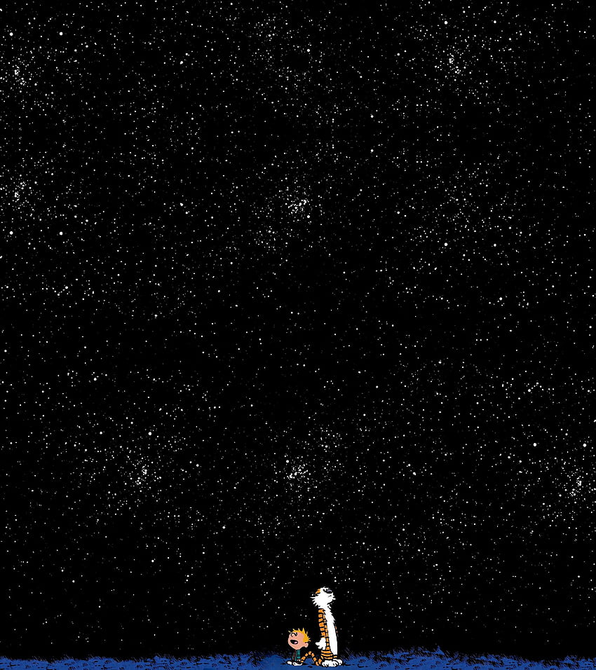 Calvin & Hobbes For Stacked Portrait Monitors, 1920x2160 HD phone wallpaper