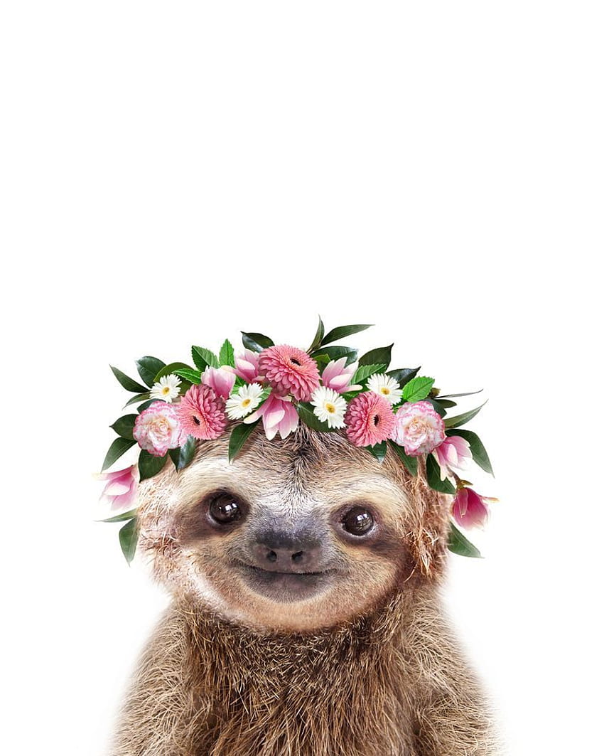 Baby Sloth With Flower Crown, Baby Animals Art Print By Synplus Carry All Pouch By Synplus Small 6 X. Cute Baby Sloths, Baby Animal Art, Baby Animals wallpaper ponsel HD