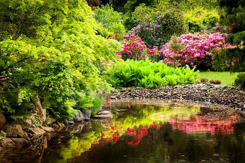 Красив парк, градина, красиво, езеро, парк, лято, отражение, красива, дървета, зеленина, цветя, прекрасен, гора, езерце HD тапет