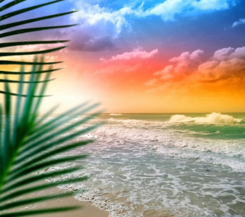 Tropical Paradise, sea, palm, tropical, sky, sunset, ocean, beach HD ...