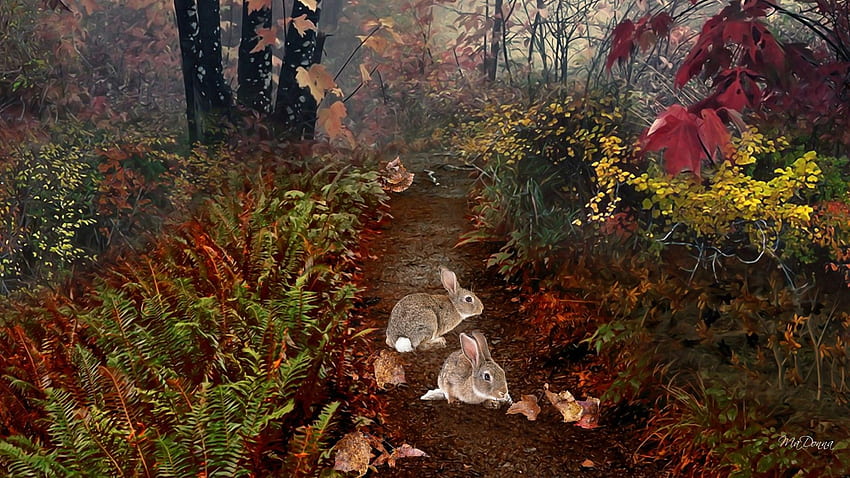 Forests: Forest Season Trees Ferns Fall Beginning Autumn Rabbit Path, 3D Bunny HD wallpaper