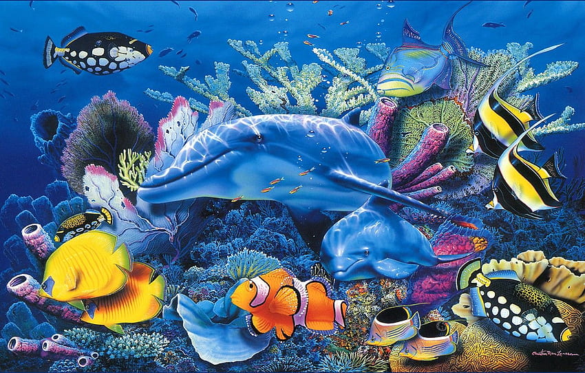 sea, fish, Dolphin, blue, aquarium, beautiful, Christian HD wallpaper