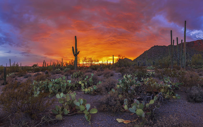 Sunset Beautiful Landscape Pima County County In Arizona Usa Ultra ...