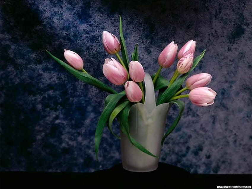 Розови лалета, лале, розово, букет, ваза, природа, цветя HD тапет