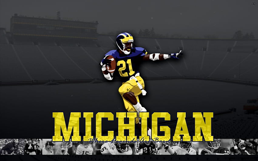 Michigan Football iPhone - Umich Football iPad Background -, University Of Michigan HD wallpaper