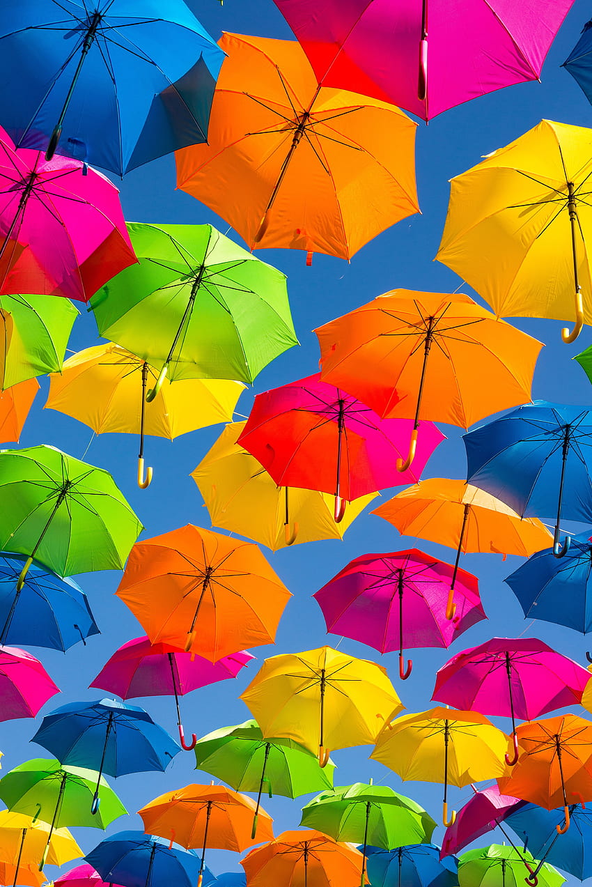 Himmel, Regenbogen, Hell, Verschiedenes, Verschiedenes, Mehrfarbig, Bunt, Schillernd, Positiv, Regenschirm HD-Handy-Hintergrundbild
