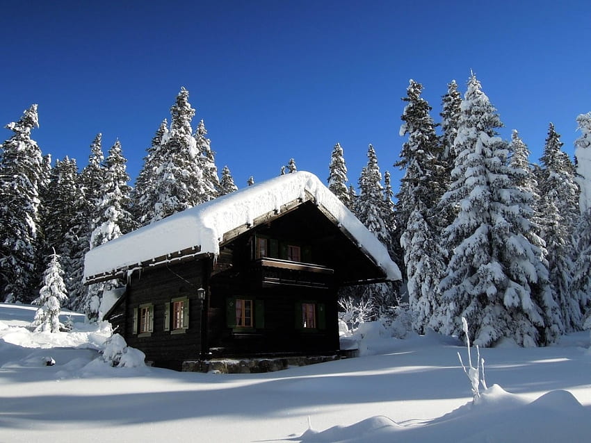 Vigljoch, Südtirol, Italien, Sonnenlicht, Tannen, Schnee, Landschaft, Hütte HD-Hintergrundbild