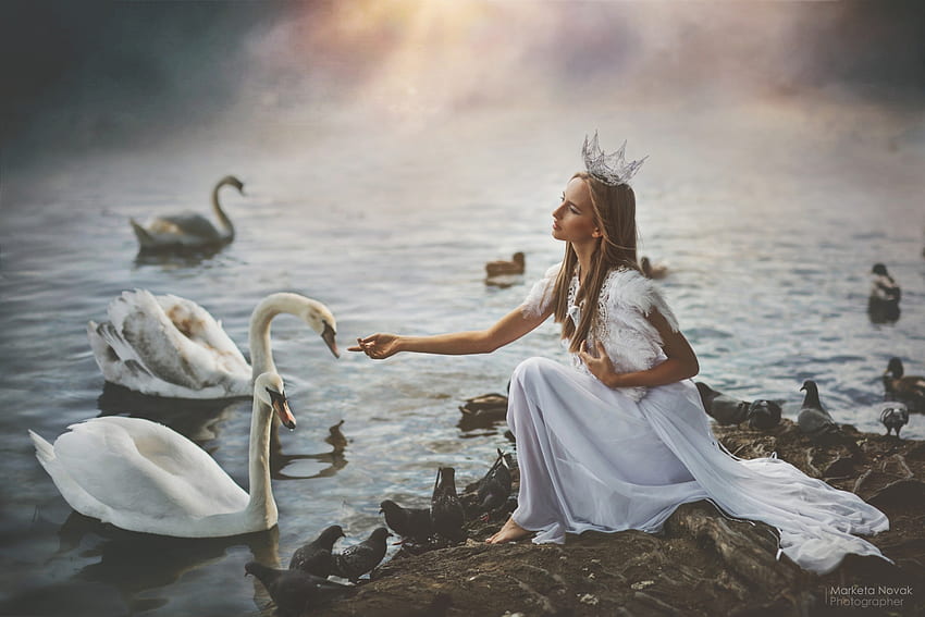 Swan Lake, woman, lake, model, white, bird, girl, lebada, dress, crown, marketa novak, swan, water, princess HD wallpaper