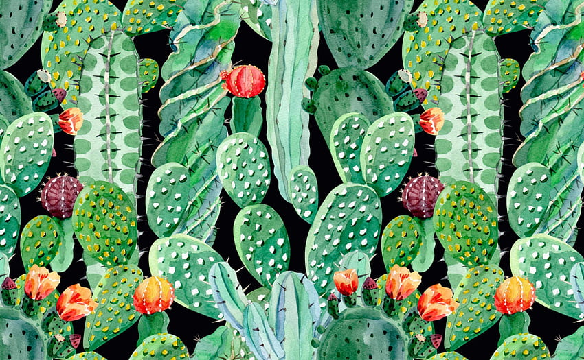 Watercolor Cactus Plants for Walls, Cactus Print HD wallpaper