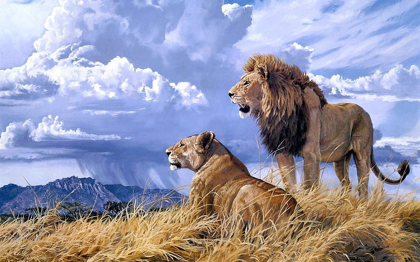 Cats: Animals Africa Sky Grass Wildlife Clouds Couple Weather Nature, African Landscape Painting HD wallpaper