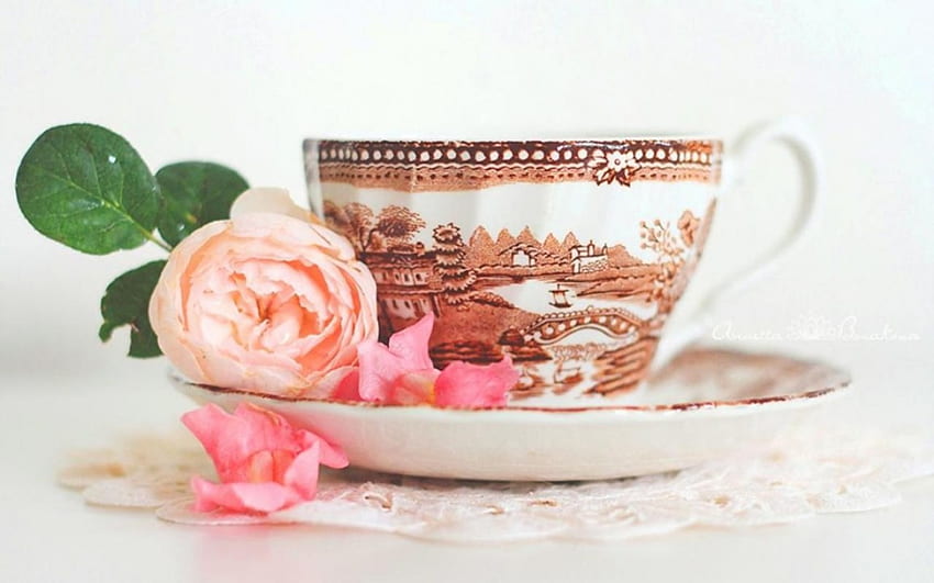 ~ ღ tazza da tè e rosa rosa ღ ~, natura morta, rosa rosa, tazza da tè, astratto Sfondo HD