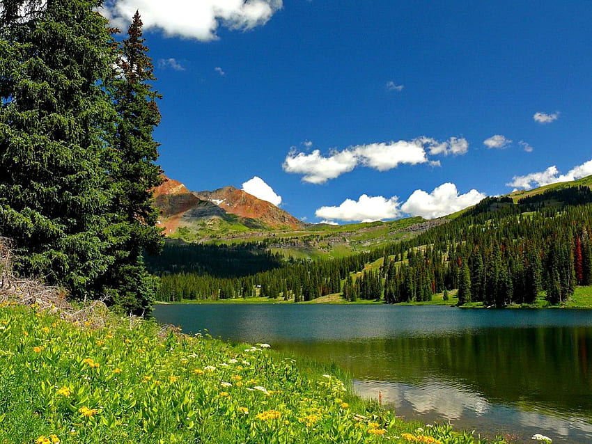 Lago de montanha, lindo, grama, bom, montanha, lago, verão, costa, esmeralda, nuvens, árvores, natureza, flores, céu, adorável papel de parede HD