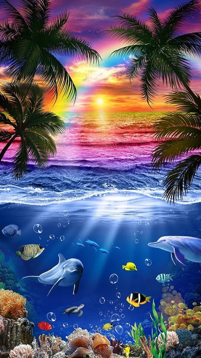水、自然、魚、夕日、イルカ、海、ヤシの木の下で HD電話の壁紙