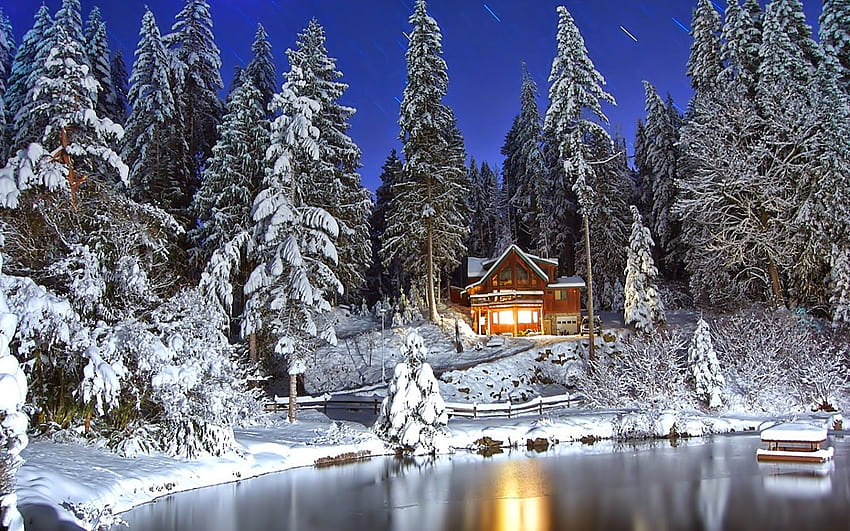 Winter Night, night, winter, house, lake, light, snow, trees, nature, sky, forest HD wallpaper