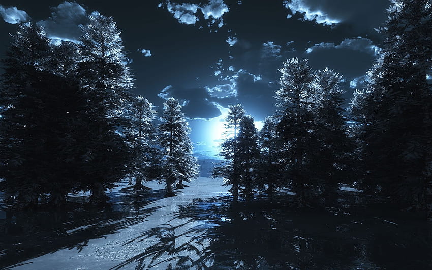 BLUE MOON FOREST, BLUE, CLOUDS, cold, FOREST, MOON, NIGHT, pine trees, SKY, snow, winter 31345. Forest moon, Night sky , Night forest, Dark Blue Trees HD wallpaper