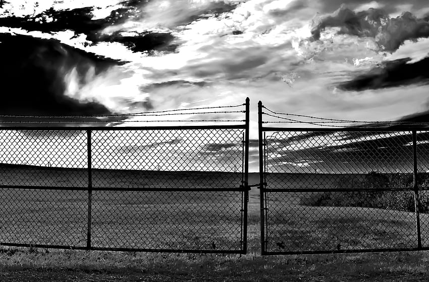 Secret Oasis, barbed wire, sky, fence, black and white HD wallpaper