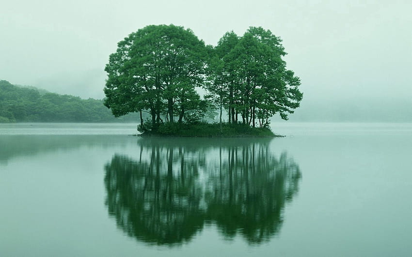 Natura, woda, drzewa, lato, jezioro, mgła, poranek, wyspa, wysepka Tapeta HD