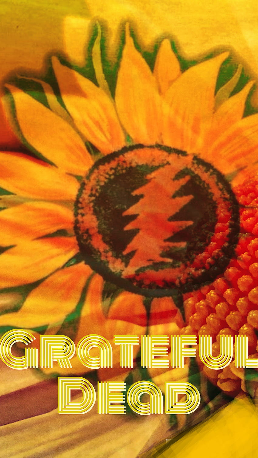 Grateful Dead, psychedelisch, Musik HD-Handy-Hintergrundbild